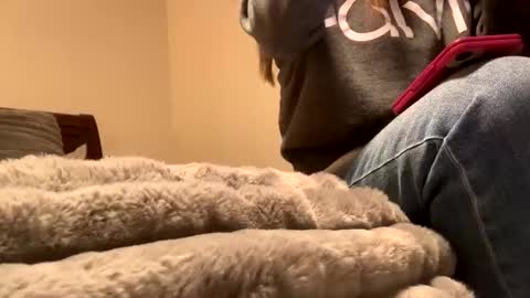 Snapshot of calishop1 chatting on December 2024 01:58:02 AM calishop1 online show from December 2024 01:58:02 AM