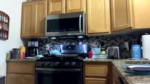 Snapshot of calishop1 chatting on December 2024 03:56:02 AM calishop1 online show from December 2024 03:56:02 AM