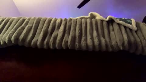 Snapshot of calishop1 chatting on February 2025 03:34:02 AM calishop1 online show from February 2025 03:34:02 AM