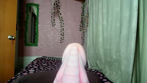 paula online show from April 2026 07:57:02 AM