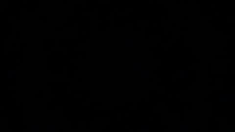 calvinzz online show from April 2026 10:54:02 AM