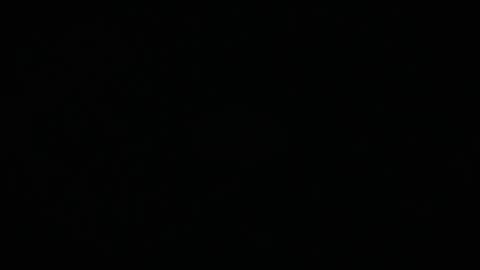 Charly online show from March 2026 11:57:01 AM