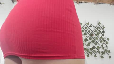 Snapshot of camihotboobs chatting on January 2025 07:43:01 PM camihotboobs online show from January 2025 07:43:01 PM