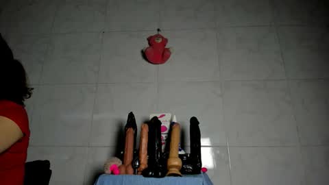 Snapshot of camilasexyhorny chatting on April 2026 10:22:01 PM camilasexyhorny online show from April 2026 10:22:01 PM