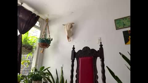  Camille   online show from November 2025 02:39:01 PM