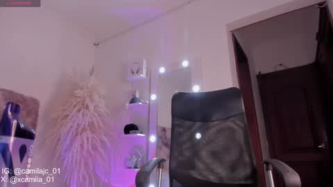 Snapshot of cammile_cole chatting on January 2025 12:49:01 AM Laura Camila online show from January 2025 12:49:01 AM