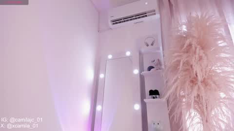 Snapshot of cammile_cole chatting on January 2025 06:21:01 PM Laura Camila online show from January 2025 06:21:01 PM