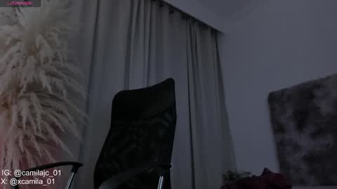 Snapshot of cammile_cole chatting on February 2025 11:48:01 PM Laura Camila online show from February 2025 11:48:01 PM