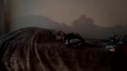 Snapshot of camren777 chatting on October 2025 02:47:01 PM Camren online show from October 2025 02:47:01 PM