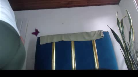 tatiana online show from May 2026 12:33:01 PM