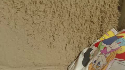 say meow and send tip  online show from February 2025 09:06:01 PM