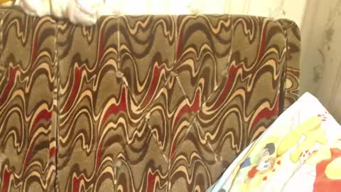 say meow and send tip  online show from March 2025 01:05:02 PM