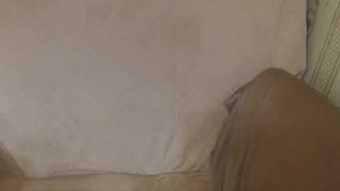 say meow and send tip  online show from May 2026 05:19:02 PM