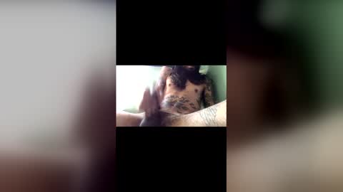 Snapshot of capt_thatcher chatting on May 2026 04:48:02 PM capt_thatcher online show from May 2026 04:48:02 PM