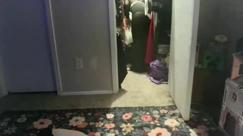 careerwife online show from April 2026 02:36:02 AM