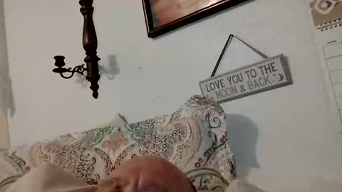 Snapshot of carldhammers chatting on October 2025 03:15:01 AM carldhammers online show from October 2025 03:15:01 AM