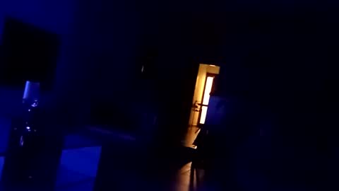 Snapshot of carlitito1 chatting on November 2025 01:22:01 AM carlitito1 online show from November 2025 01:22:01 AM