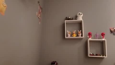 Snapshot of carlitito1 chatting on November 2025 07:52:02 AM carlitito1 online show from November 2025 07:52:02 AM