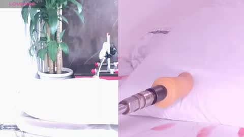 Carol online show from April 2026 11:11:02 AM