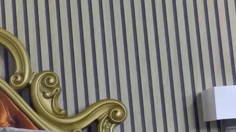 carolinahart online show from May 2026 03:41:02 PM