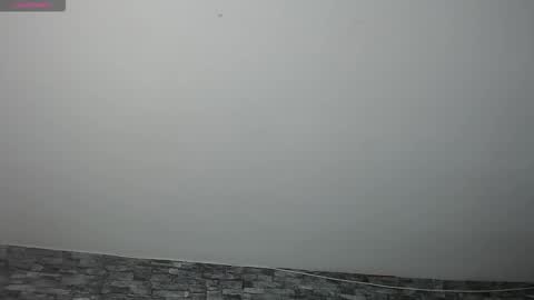 Camelia online show from November 2025 11:32:02 PM