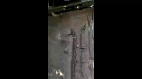 carrilloeverardo219 online show from May 2026 07:13:02 AM