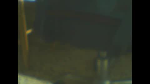 castells online show from October 2025 05:02:02 PM