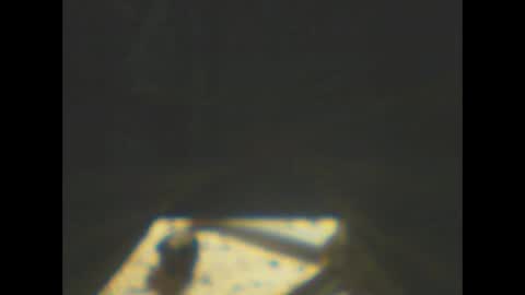 castells online show from January 2026 05:59:01 PM