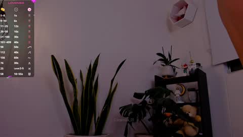 Snapshot of catalella_01 chatting on January 2025 11:52:02 PM MACARENA online show from January 2025 11:52:02 PM