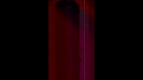 cataleya12372205 online show from February 2026 06:03:02 AM