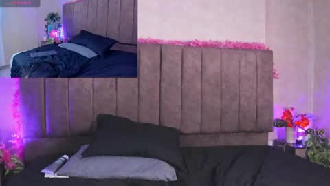 Cat  online show from June 2026 11:27:02 PM