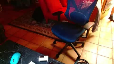catchingzzzz online show from May 2026 03:47:02 AM