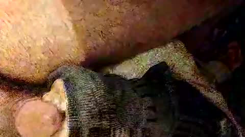 Snapshot of catdaddy179057 chatting on March 2026 02:19:01 PM catdaddy179057 online show from March 2026 02:19:01 PM