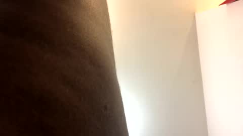 catpixel online show from September 2025 10:28:02 AM