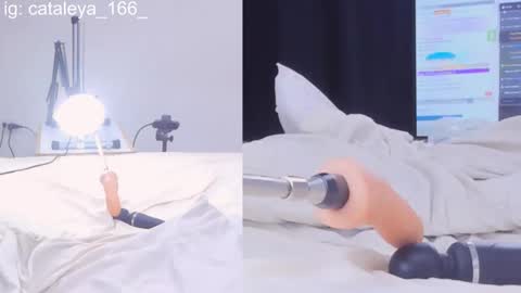 Cattleya Annie  online show from February 2025 02:06:01 AM