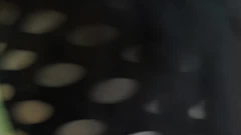 Snapshot of cattleyascaly chatting on September 2025 07:39:02 PM cattleyascaly online show from September 2025 07:39:02 PM