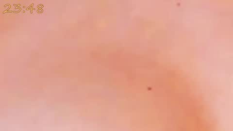    online show from January 2025 06:24:01 PM