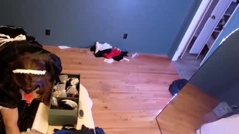 cdmaidj online show from November 2025 02:39:02 AM