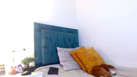 Cedrixx10 online show from February 2026 10:19:02 PM