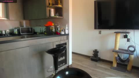 Snapshot of celeste_pervert chatting on January 2025 06:51:01 PM mia sofiabohorquez INSTAGRAM online show from January 2025 06:51:01 PM