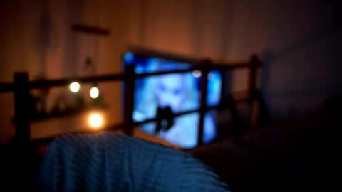 Snapshot of celeste_www chatting on February 2026 05:10:02 PM Sunflower online show from February 2026 05:10:02 PM