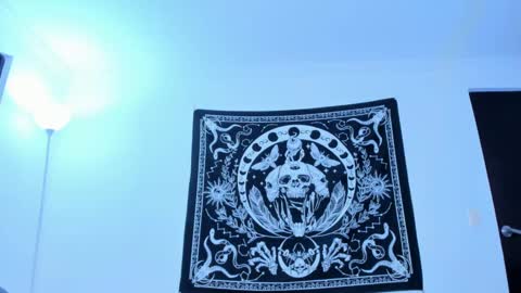 Snapshot of celestical chatting on December 2024 09:24:01 AM online show from December 2024 09:24:01 AM