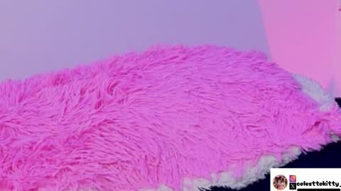 Snapshot of celestte_evans_1 chatting on December 2025 07:39:01 AM celestte_evans_1 online show from December 2025 07:39:01 AM