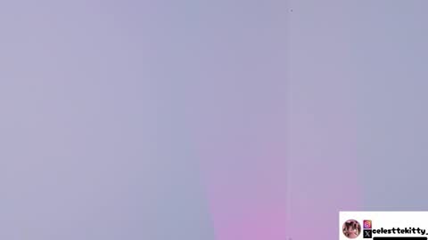 Snapshot of celestte_evans_1 chatting on December 2025 03:01:02 AM celestte_evans_1 online show from December 2025 03:01:02 AM