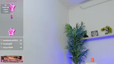 Snapshot of cellesteevans chatting on January 2025 09:34:01 PM Celeste online show from January 2025 09:34:01 PM