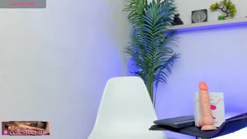 Snapshot of cellesteevans chatting on January 2025 04:45:01 PM Celeste online show from January 2025 04:45:01 PM