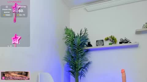 Snapshot of cellesteevans chatting on January 2025 05:41:01 PM Celeste online show from January 2025 05:41:01 PM