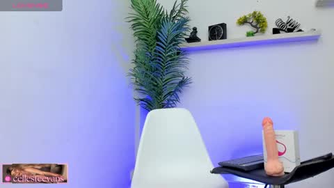 Snapshot of cellesteevans chatting on January 2025 09:04:01 PM Celeste online show from January 2025 09:04:01 PM