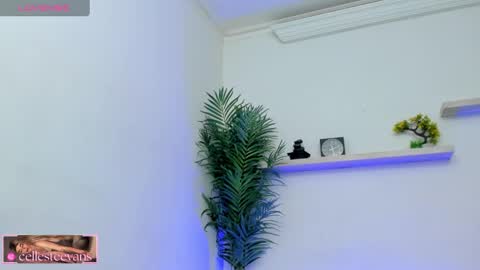 Snapshot of cellesteevans chatting on February 2025 03:18:02 PM Celeste online show from February 2025 03:18:02 PM