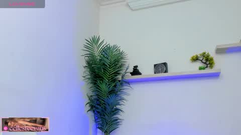 Snapshot of cellesteevans chatting on February 2025 02:59:02 PM Celeste online show from February 2025 02:59:02 PM